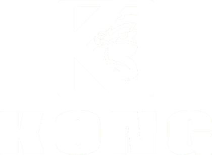 Logo Kong - Sponsor della community